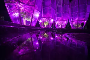 Парк «Краснодар»  с новогодней подсветкой &copy;&nbsp;Фото Елены Синеок, Юга.ру