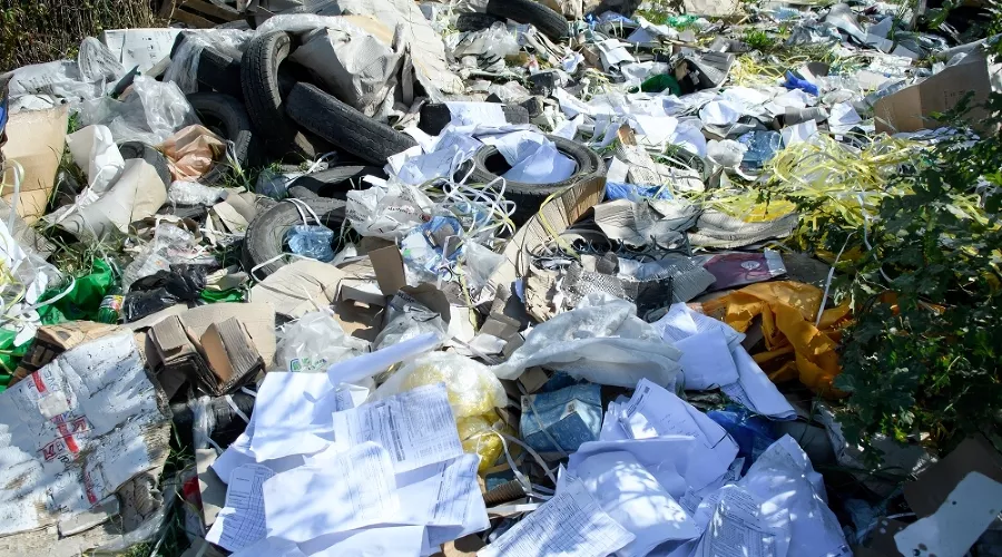  &copy;&nbsp;Фото Александра Райко, пресс-служба мэрии Краснодара