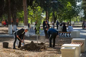 Парк имени Ивана Семыкина в станице Тбилисской &copy;&nbsp;Фото Евгения Мельченко, Юга.ру