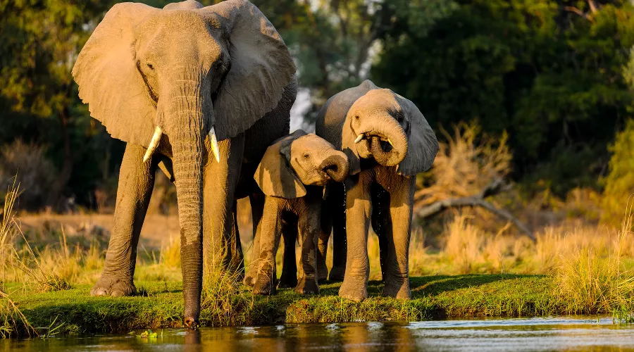  &copy;&nbsp;Фото пользователя wirestock с сайта freepik.com