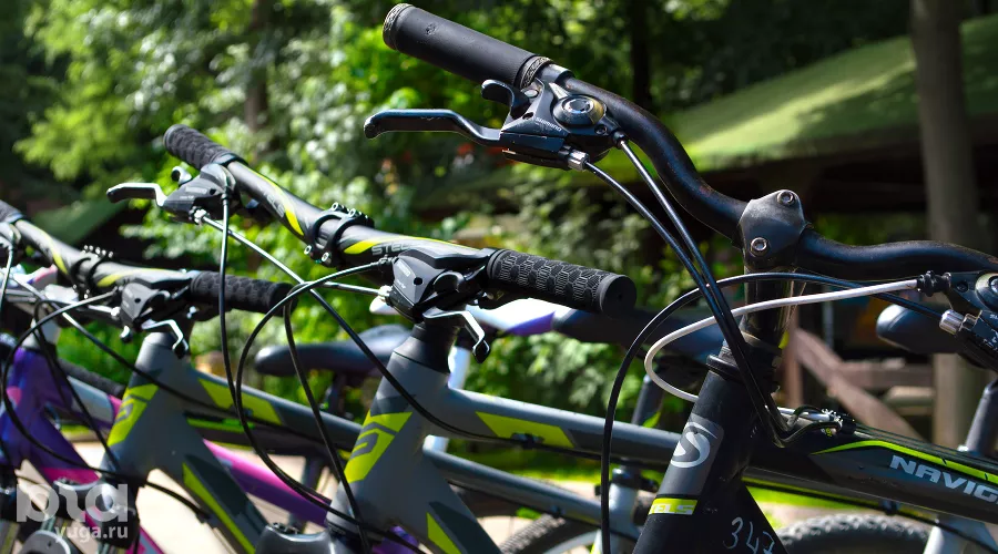  &copy;&nbsp;Фото Дмитрия Леснова, Юга.ру