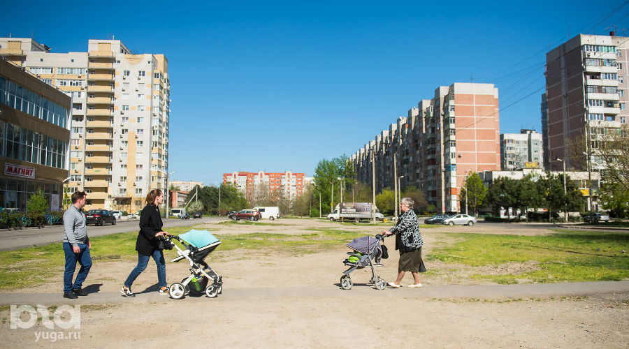  © Фото Елены Синеок, Юга.ру