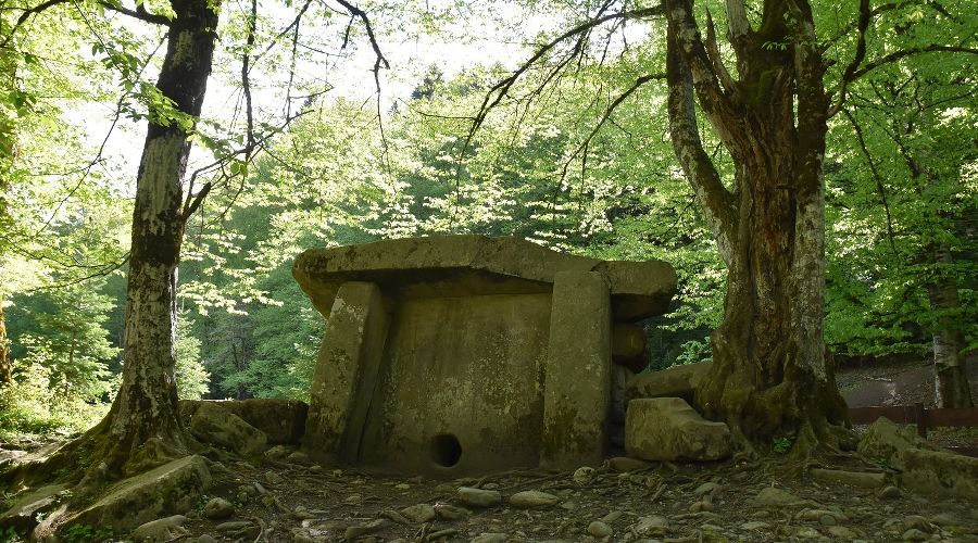  © Фото с сайта rgo.ru