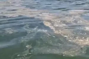  &copy;&nbsp;Кадр из видео &laquo;ЧП Новороссийск&raquo;, t.me/chpnvrsk