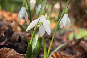  © Скриншот видео Наташи Елагиной из телеграм-канала Сочинского национального парка