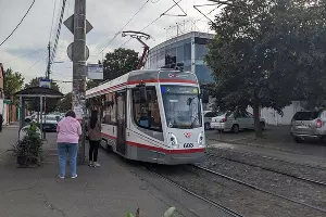  &copy;&nbsp;Фото Александры Аксеновой, Юга.ру