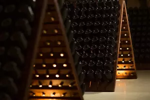  &copy;&nbsp;Фото пресс-службы &laquo;Фанагории&raquo;