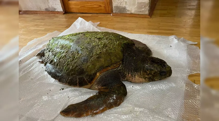  &copy;&nbsp;Скриншот группы &laquo;ВКонтакте&raquo; &laquo;Город-курорт Анапа&raquo;, vk.com/anapaadm