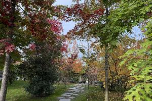 Японский сад в парке «Краснодар» осенью © Фото Марины Солошко, Юга.ру