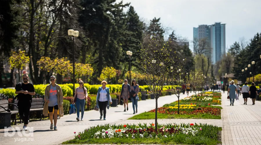  &copy;&nbsp;Фото Елены Синеок, Юга.ру