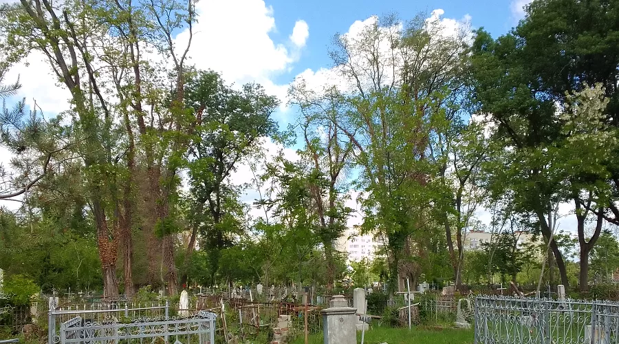 Всесвятское кладбище &copy;&nbsp;Фото Яны Антоновой