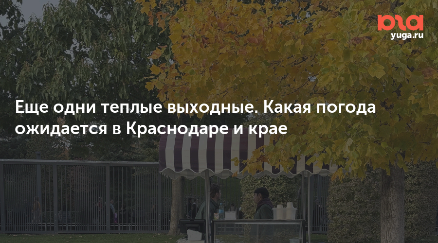 Еще одни теплые выходные. Какая погода ожидается в Краснодаре и крае