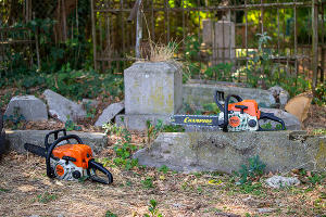 Лесорубы на Всесвятском кладбище во время вырубки в сентябре 2023 года © Фото Александра Гончаренко, Юга.ру