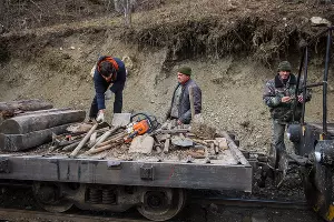 Вынужденная остановка &copy;&nbsp;Фото Елены Синеок, Юга.ру