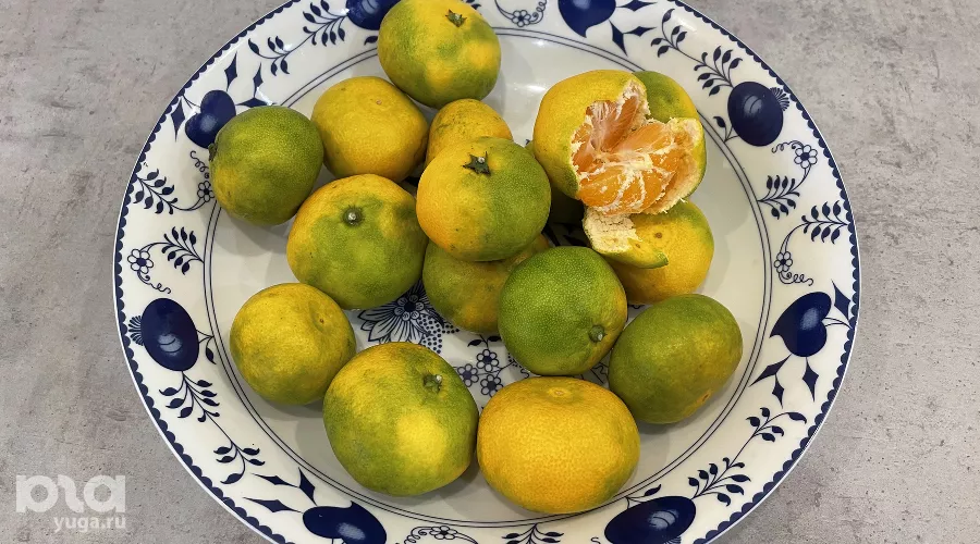 Мандарины &copy;&nbsp;Фото Олеси Шубиной, Юга.ру