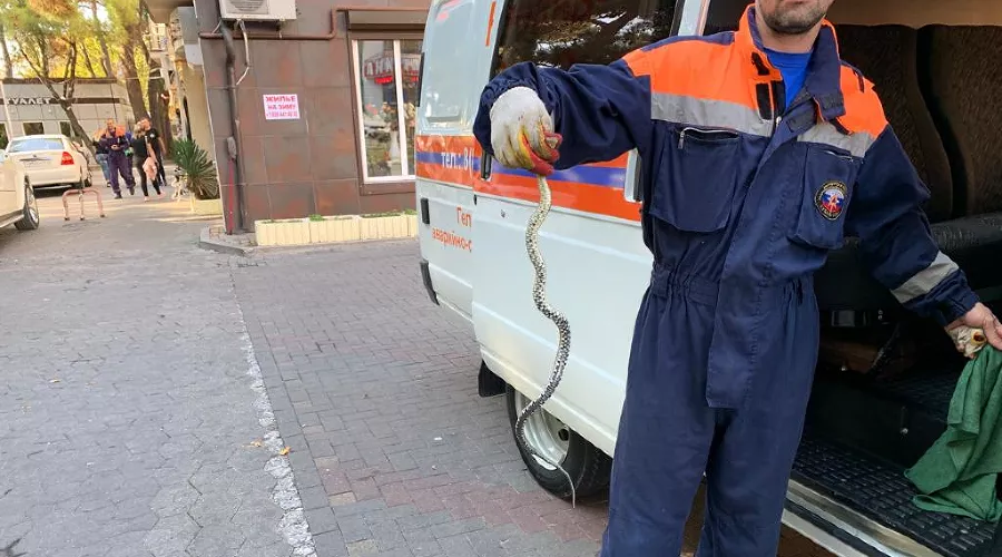  &copy;&nbsp;Фото пресс-службы &laquo;Кубань-СПАС&raquo;