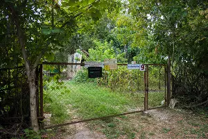 Большой остров &copy;&nbsp;Фото Елены Синеок, Юга.ру