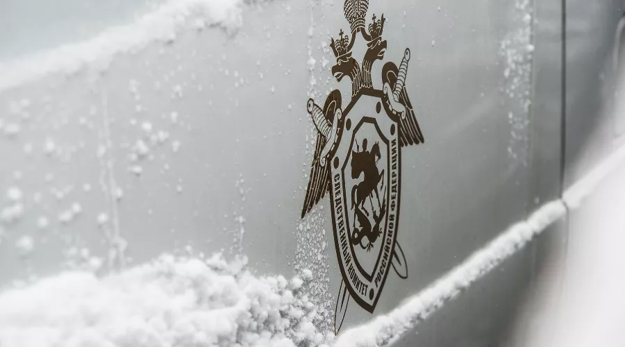  &copy;&nbsp;Фото Елены Синеок, Юга.ру