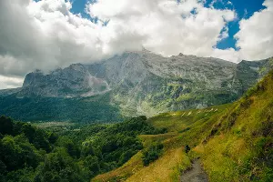  &copy;&nbsp;Фото irabrester, freepik.com