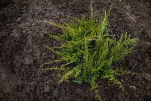  &copy;&nbsp;Фото пресс-службы администрации Краснодара