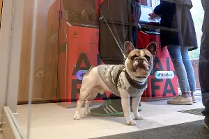  &copy;&nbsp;Фото Галины Богомоловой, предоставлено пресс-службой Альфа-Банка