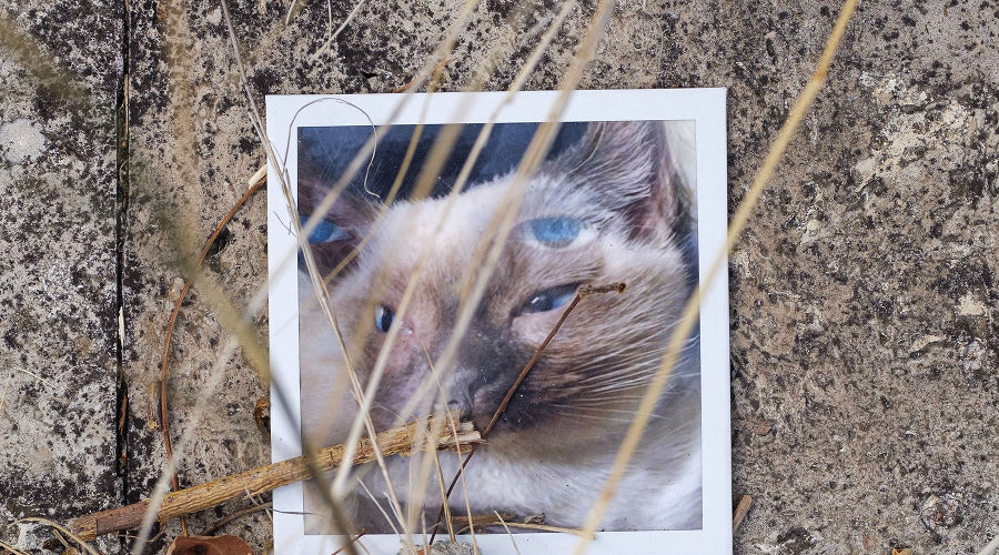 Выставка Вани Венмера Process © Фотография предоставлена кураторской группой Plague