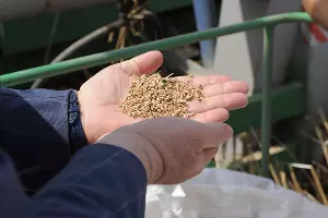  &copy;&nbsp;Фото пресс-службы ДГТУ