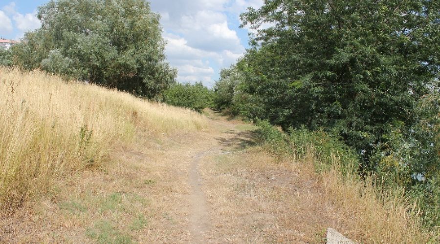  © Фото пресс-службы администрации Краснодара