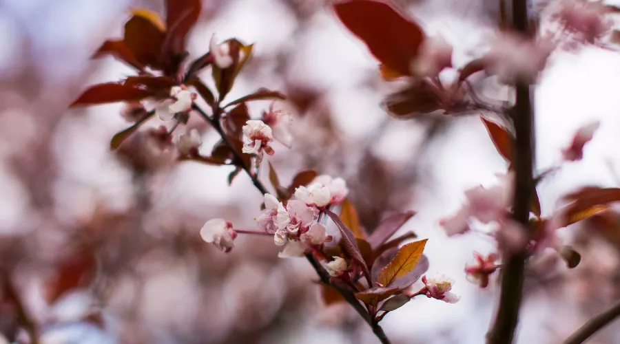  &copy;&nbsp;Фото Елены Синеок, Юга.ру