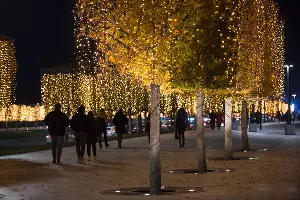 Парк «Краснодар»  с новогодней подсветкой &copy;&nbsp;Фото Елены Синеок, Юга.ру