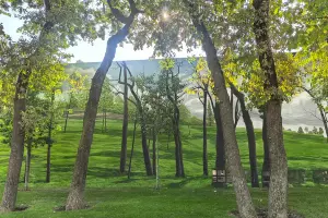  &copy;&nbsp;Скриншот фото с сайта Евгения Олифиренко