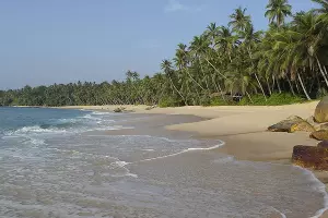 На Шри-Ланке &copy;&nbsp;Фото Иолины Грибковой, Юга.ру