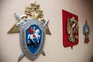  © Фото Елены Синеок, Юга.ру