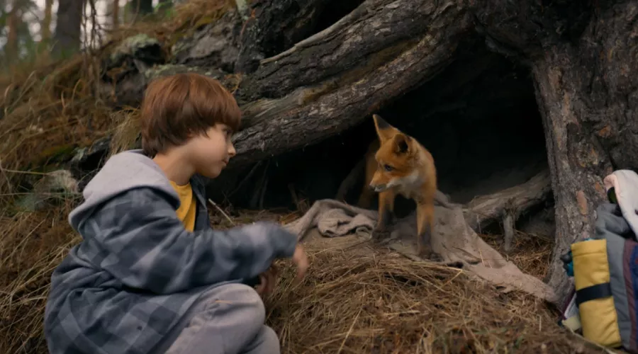  &copy;&nbsp;Скриншот с сайта www.kinopoisk.ru/picture/4094556/