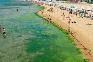  &copy;&nbsp;Фото Антона Быкова, Юга.ру