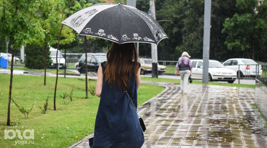  &copy;&nbsp;Фото Елены Синеок, Юга.ру