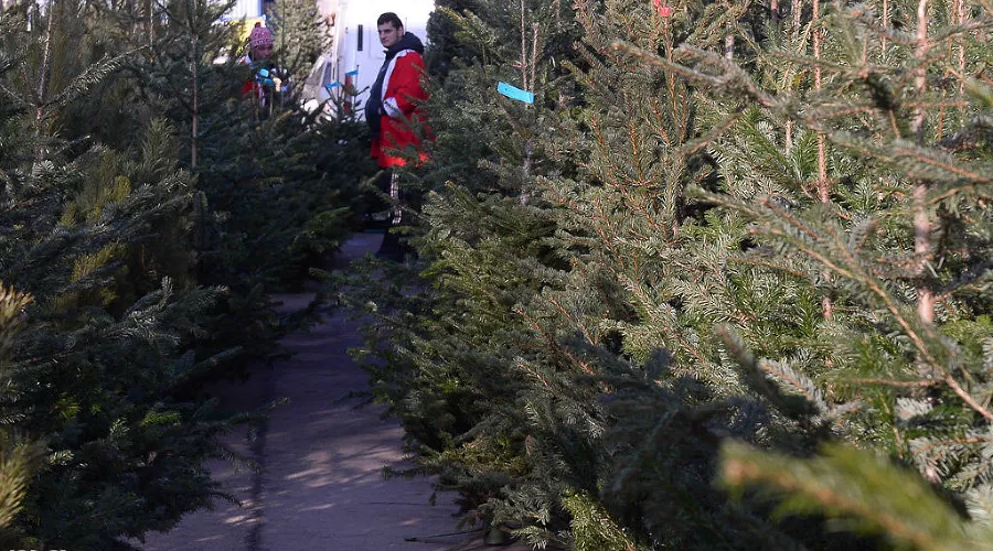  &copy;&nbsp;Алёна Живцова, ЮГА.ру