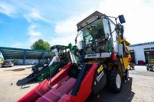  &copy;&nbsp;Фото Елены Синеок, Юга.ру