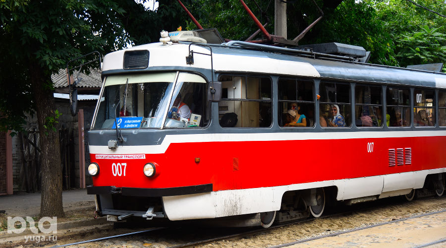  © Фото Елены Синеок, Юга.ру