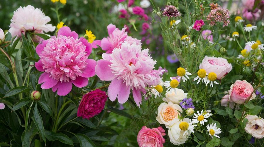 цветы &copy;&nbsp;Изображение сгенерировано нейросетью Gigachat