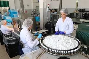  &copy;&nbsp;Фото пресс-службы администрации Краснодара