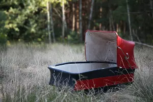  &copy;&nbsp;Фото Mirekis, pixabay.com