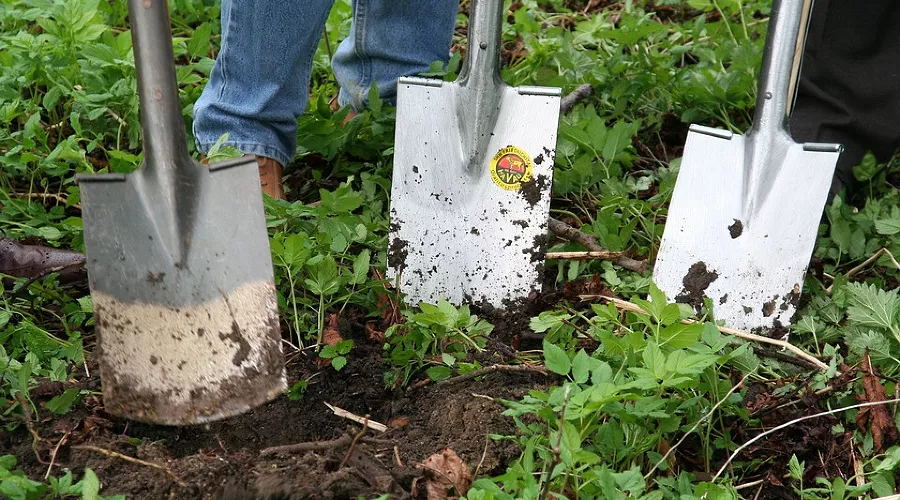  &copy;&nbsp;Фото с сайта pixabay.com