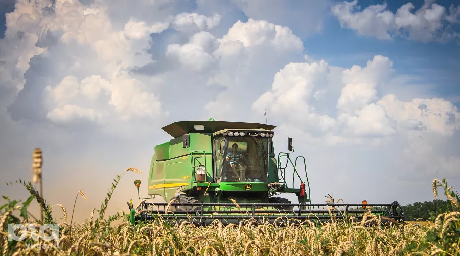 Уборка урожая на Кубани &copy;&nbsp;Елена Синеок, ЮГА.ру