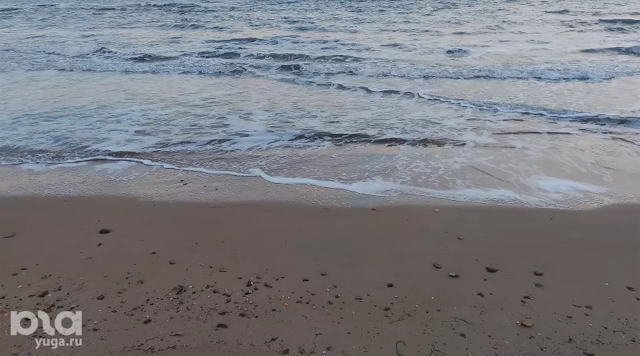  &copy;&nbsp;Фото Антона Быкова, Юга.ру