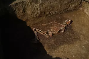  &copy;&nbsp;Фото пресс-службы &laquo;Автодор&raquo;