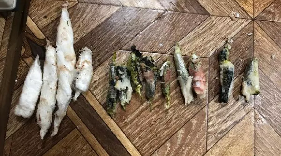  &copy;&nbsp;Фото пресс-службы УФСИН России по Ставропольскому краю