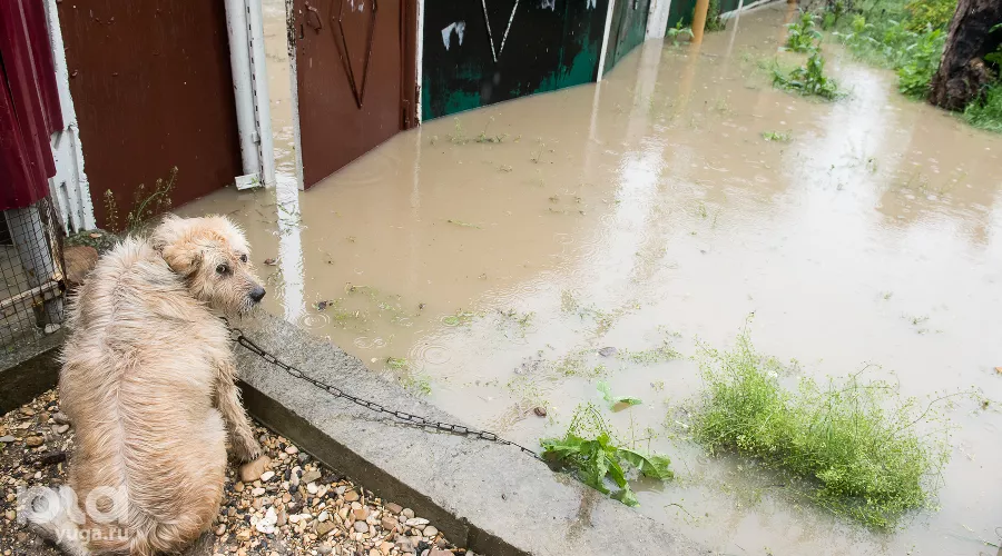 Подтопление в селе Левокумка Ставропольского края &copy;&nbsp;Фото Антона Подгайко, Юга.ру
