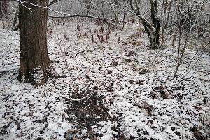  © Фото пресс-службы Кавказского заповедника