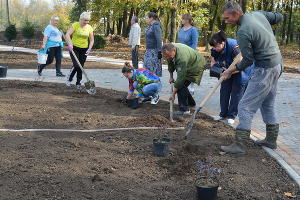 Ремонт парка и дома культуры Тбилисском районе &copy;&nbsp;Фото пресс-службы Тбилисского района